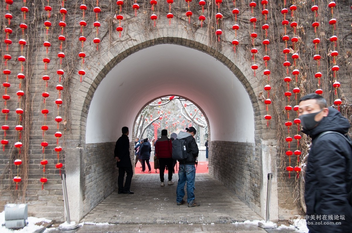 忽如一夜春雪来