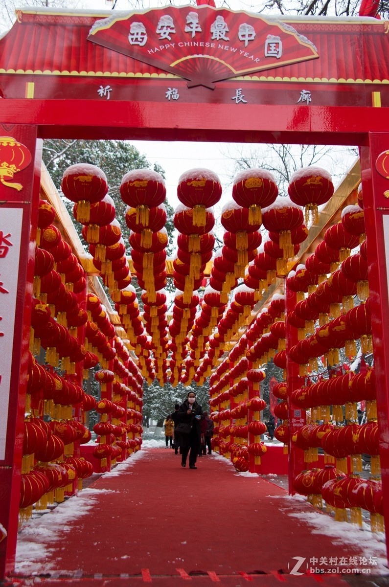 忽如一夜春雪来