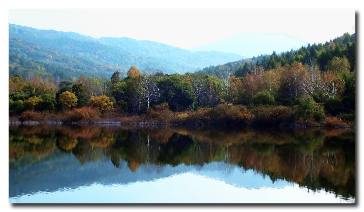吉林《金秋小景》与山东朋友分享。