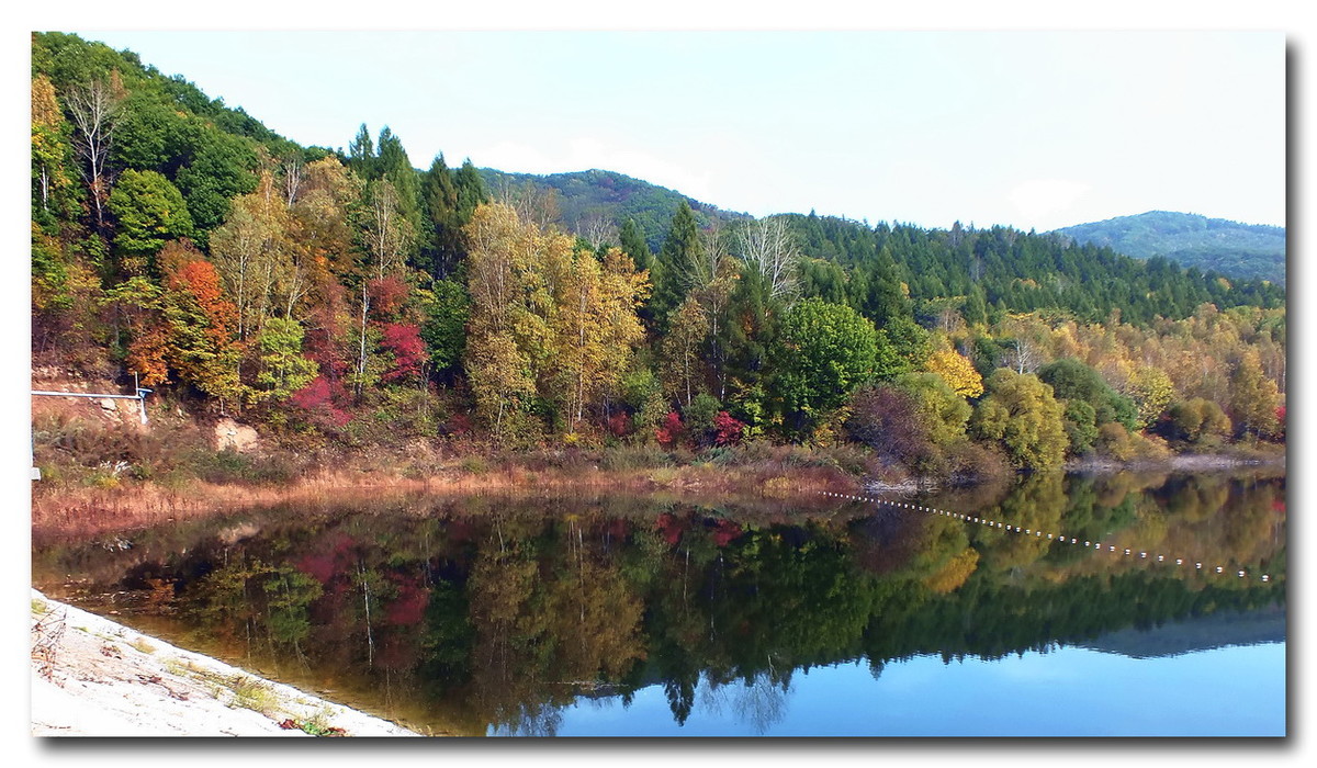 吉林《金秋小景》与山东朋友分享。