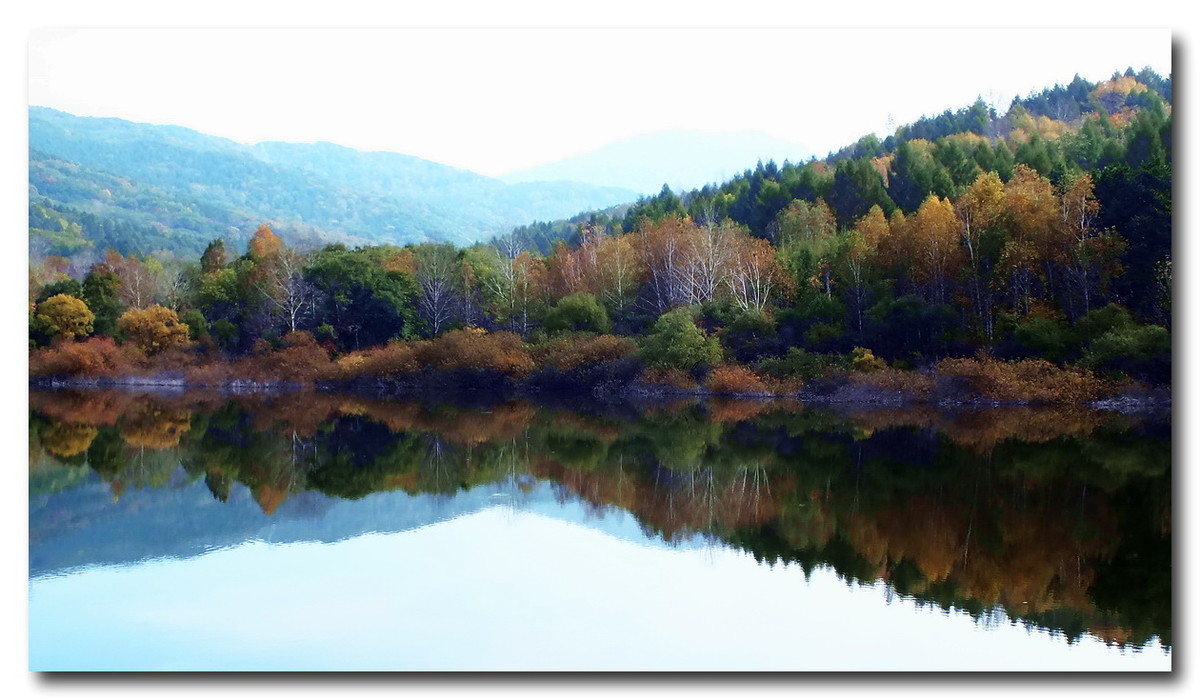吉林《金秋小景》与山东朋友分享。