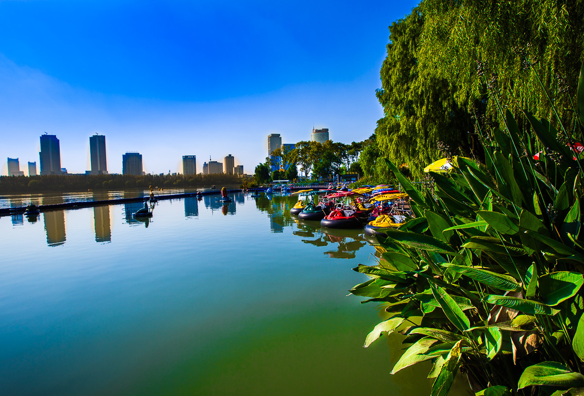 2016-11-07南京玄武湖—梁洲-中关村在线摄影论坛