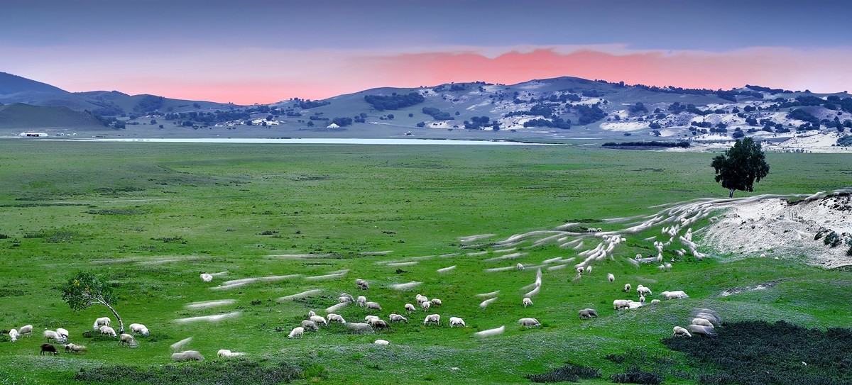 六月草原------乌兰布统[2]!!!