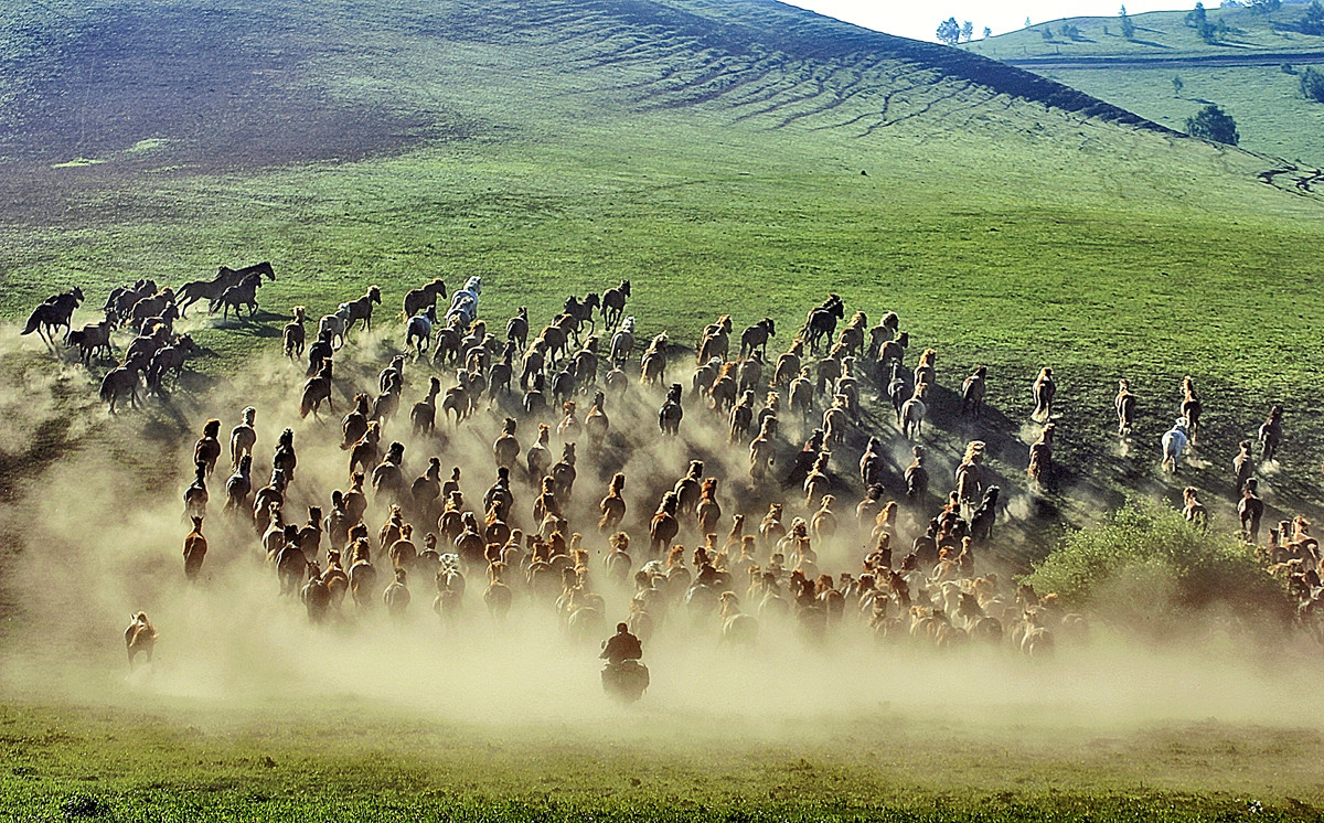 六月草原------乌兰布统[2]!!!