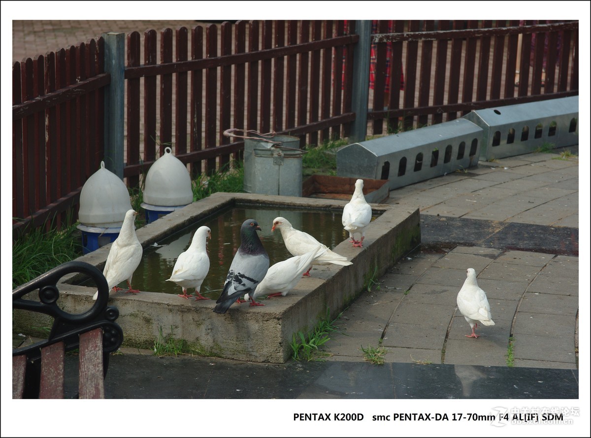 宾得K200D-北戴河随拍