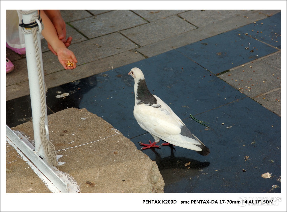 宾得K200D-北戴河随拍