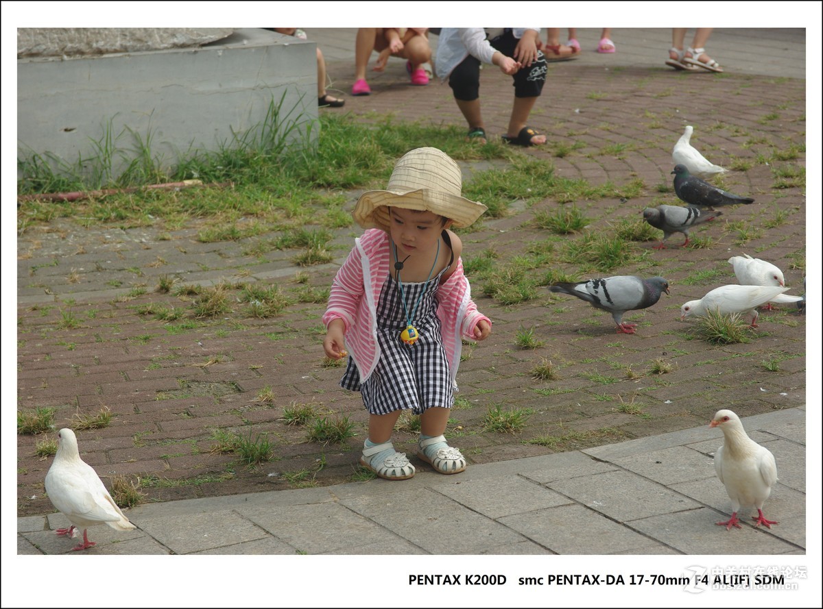 宾得K200D-北戴河随拍