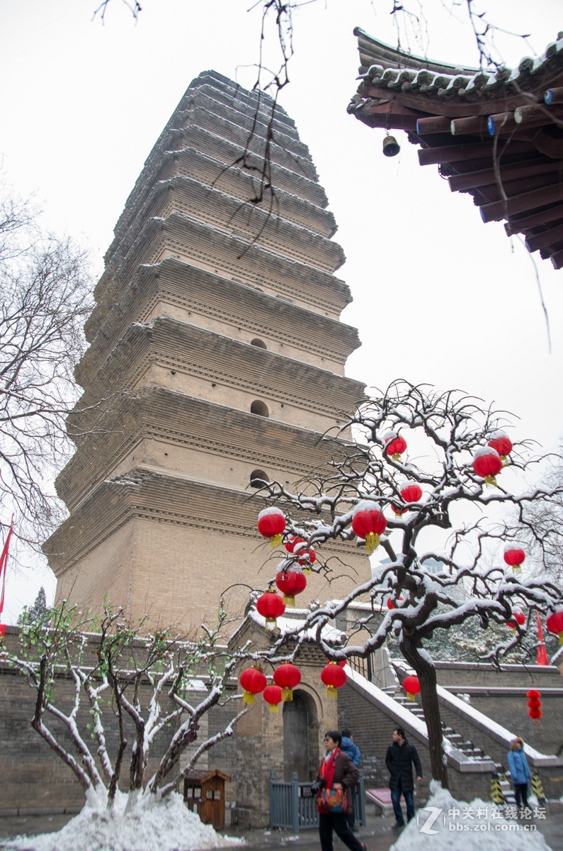 忽如一夜春雪来