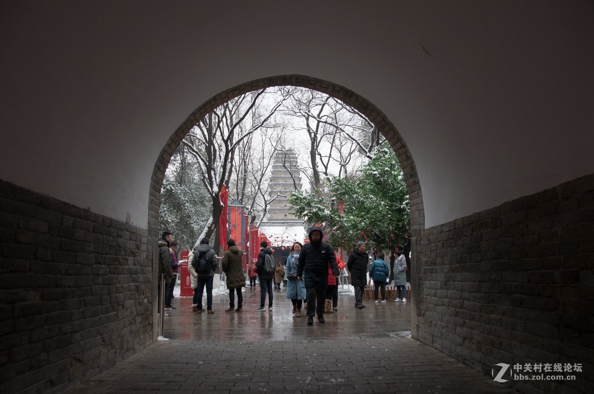 忽如一夜春雪来