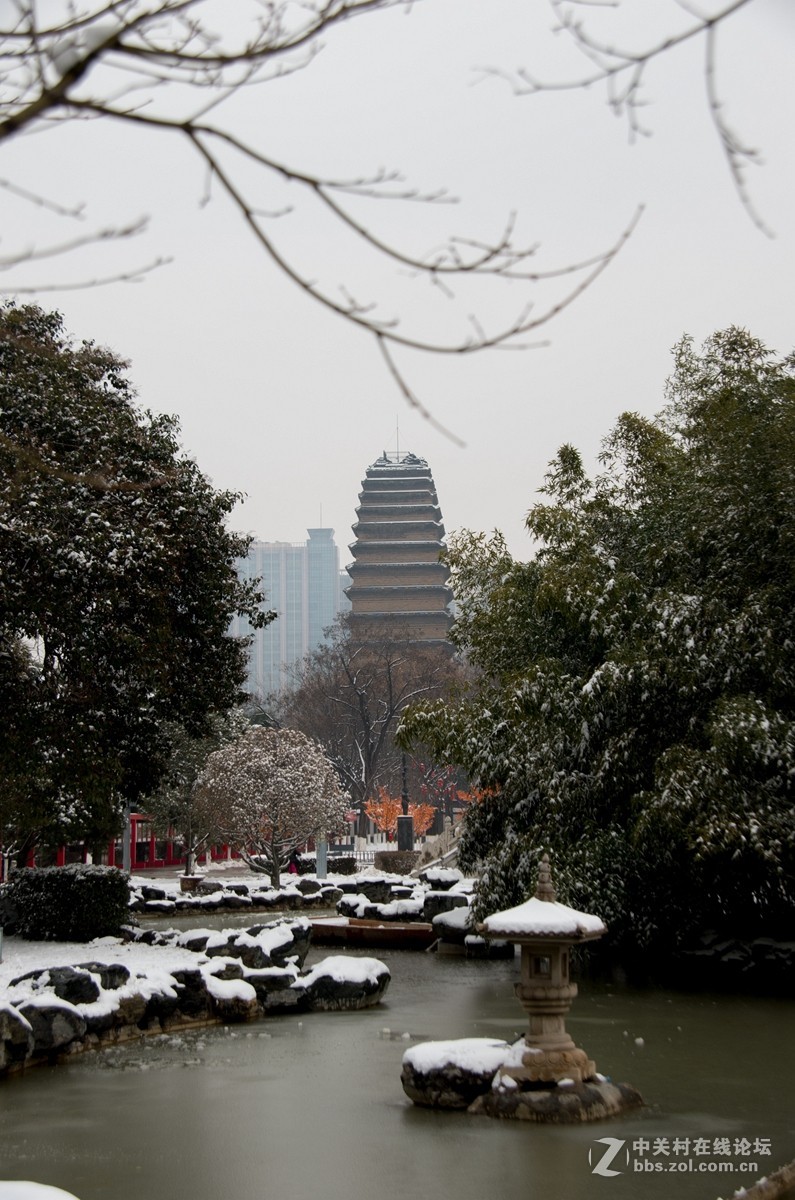 忽如一夜春雪来