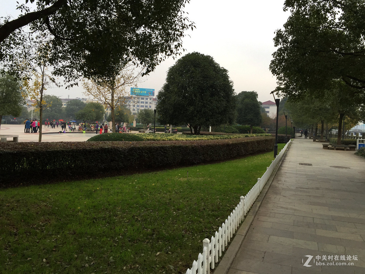 南方初冬景色