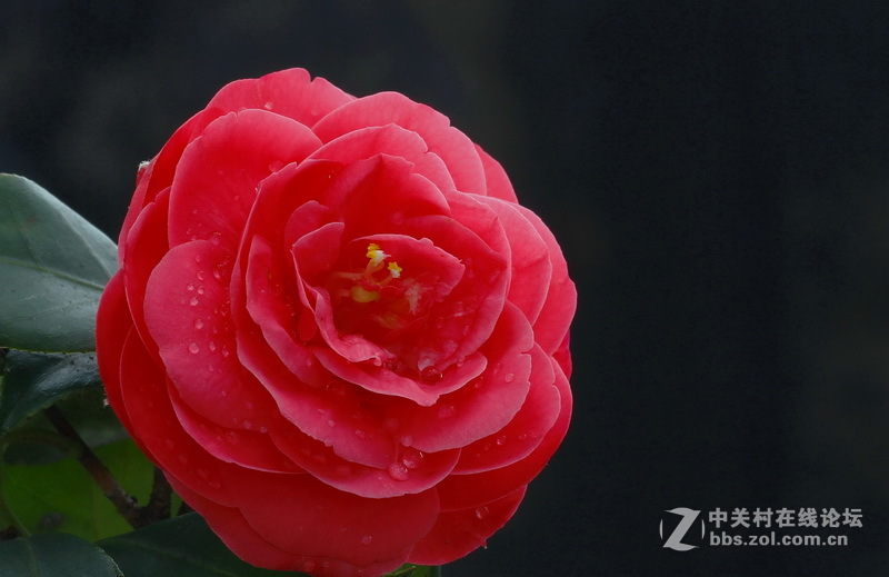 请给位摄友多指点