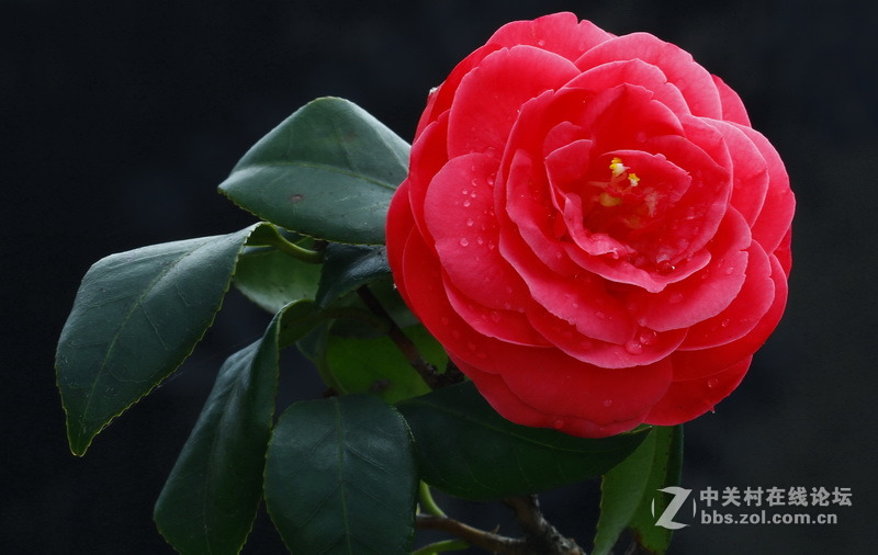 请给位摄友多指点