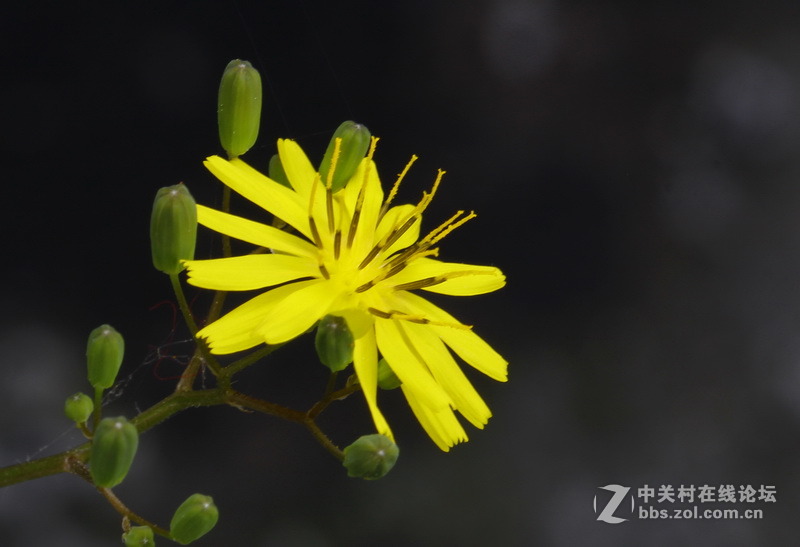 请给位摄友多指点