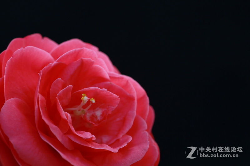 请给位摄友多指点