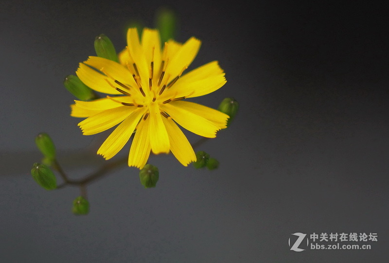 请给位摄友多指点