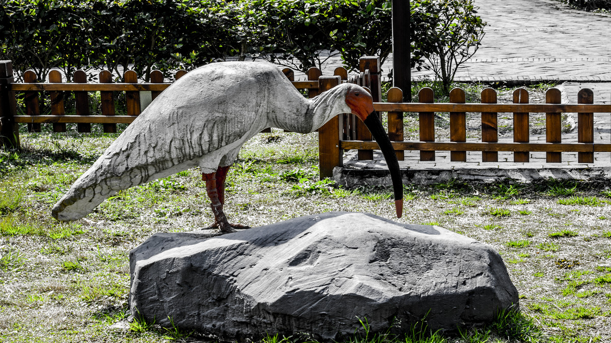 寻找尼康镜头中最美湿地·