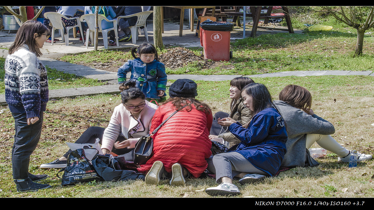 寻找尼康镜头中最美湿地·