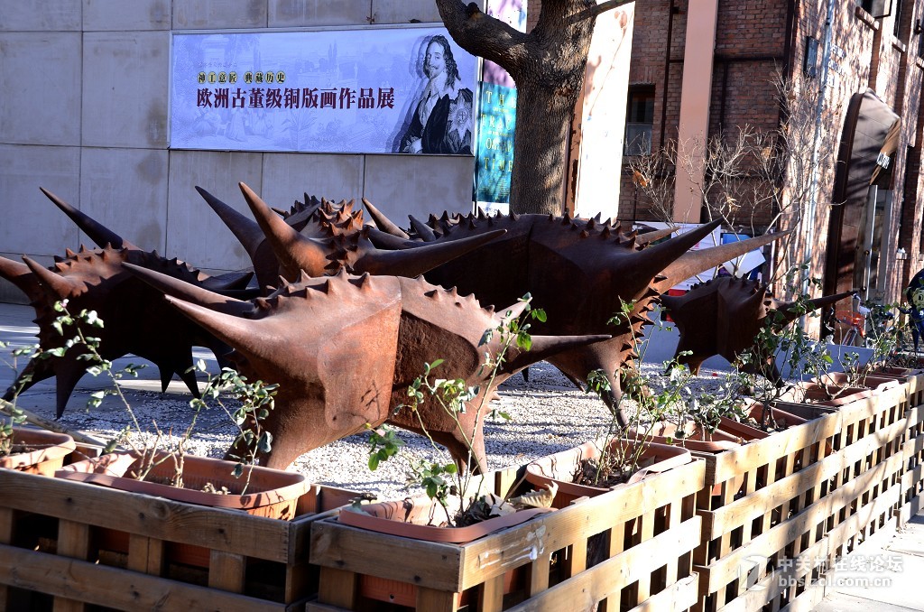 北京798------艺术展