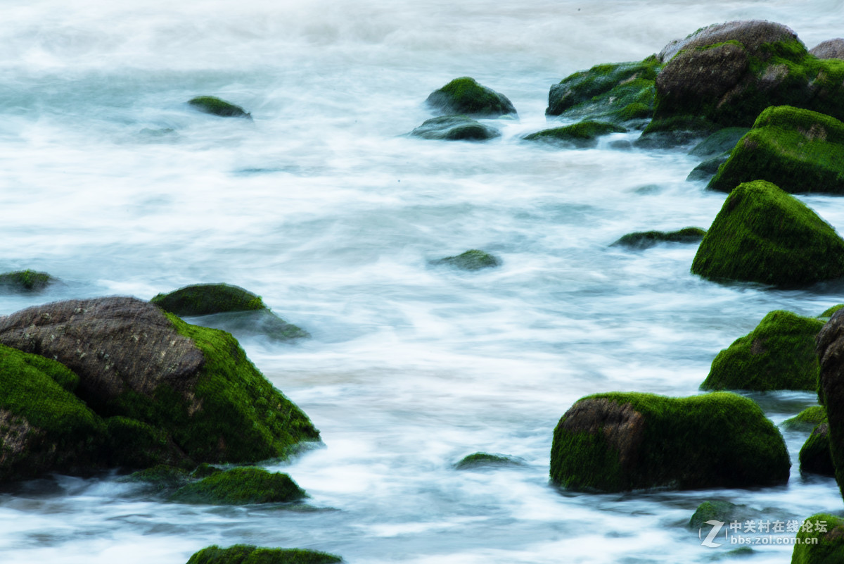 海礁上的青苔