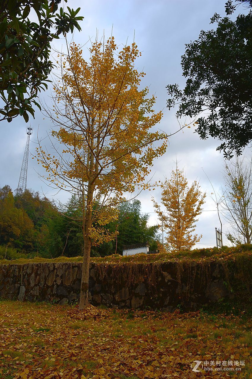 皖南古村釆风许村3