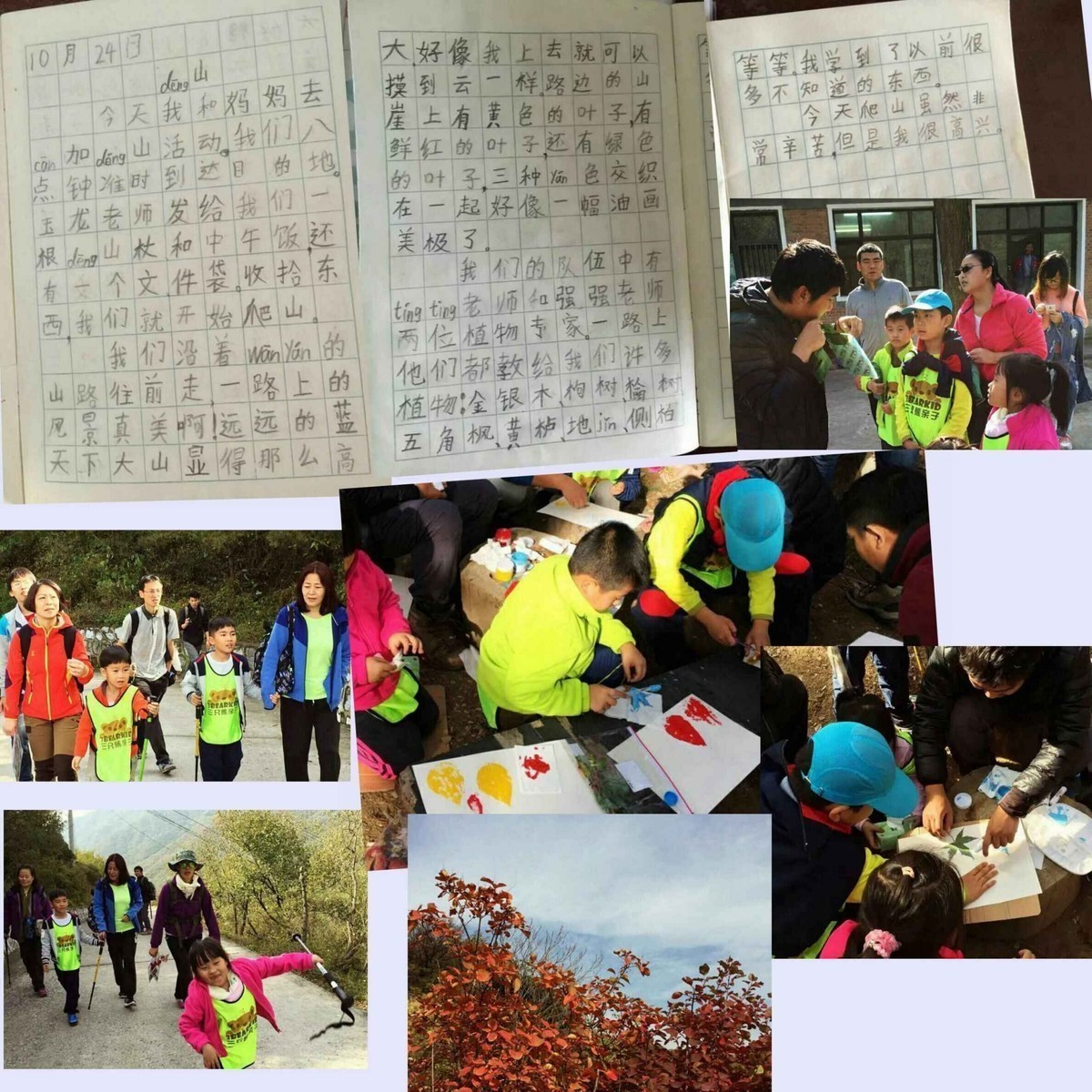 看了覅狗漂漂今天