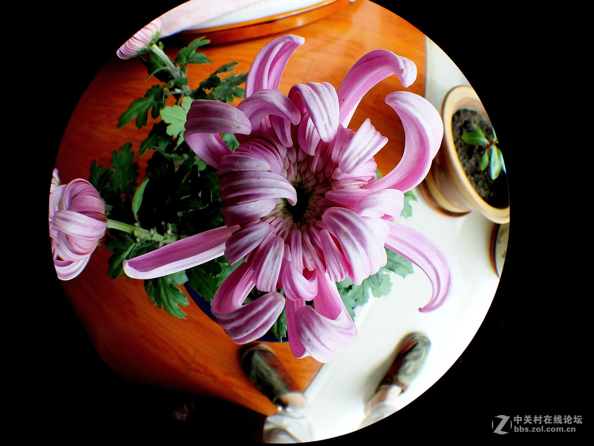 这个能算几毫米镜头