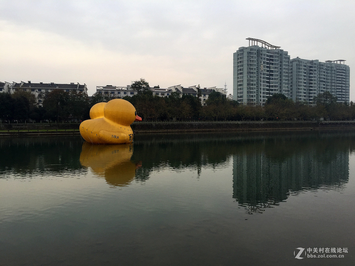 南方初冬景色