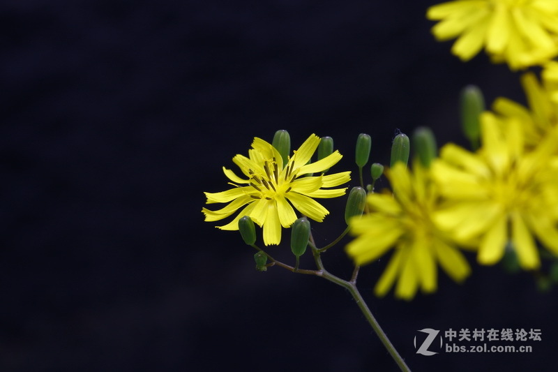 请给位摄友多指点