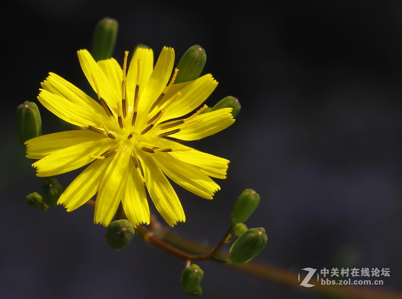 请给位摄友多指点