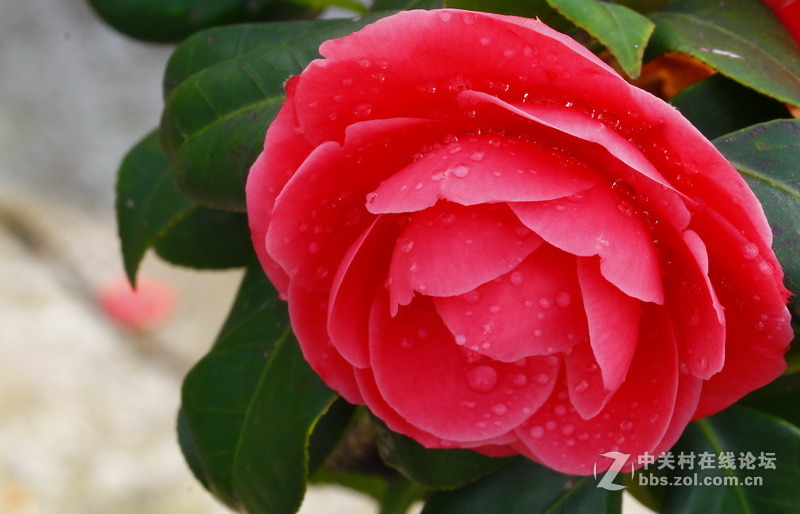 请给位摄友多指点