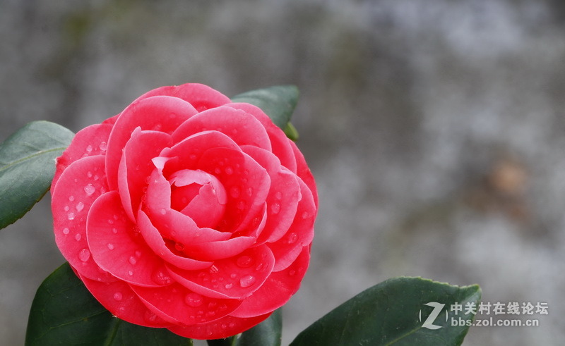 请给位摄友多指点