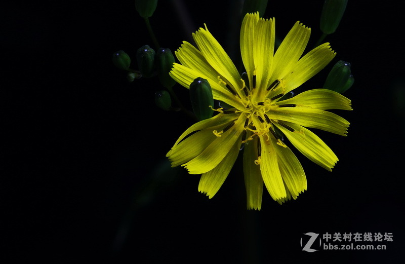 请给位摄友多指点