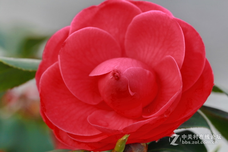 请给位摄友多指点