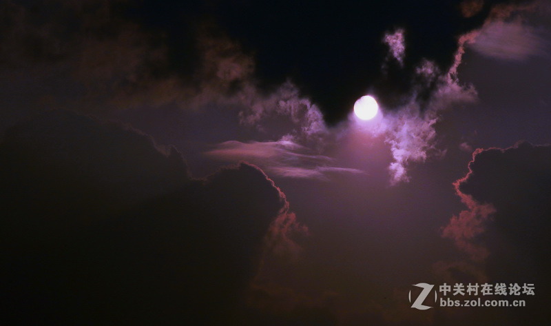 请给位摄友多指点