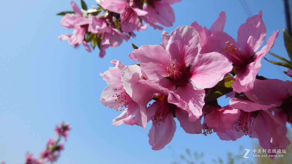 都说尼康S6500不好，我看拍的还不错。