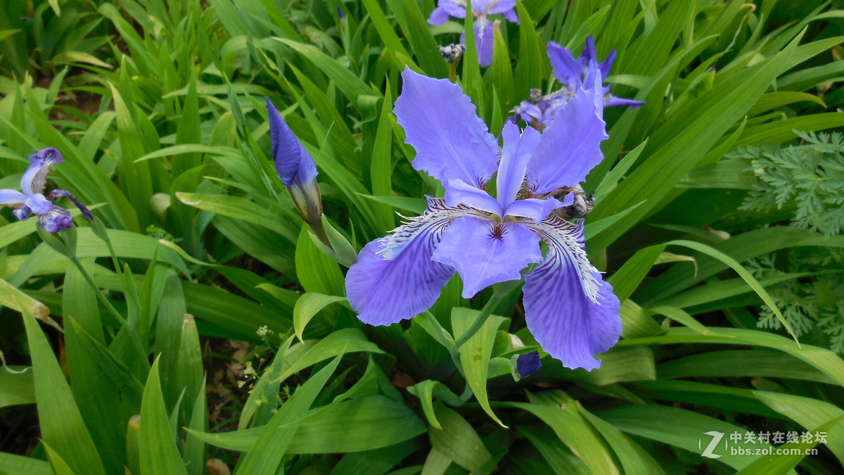 都说尼康S6500不好，我看拍的还不错。