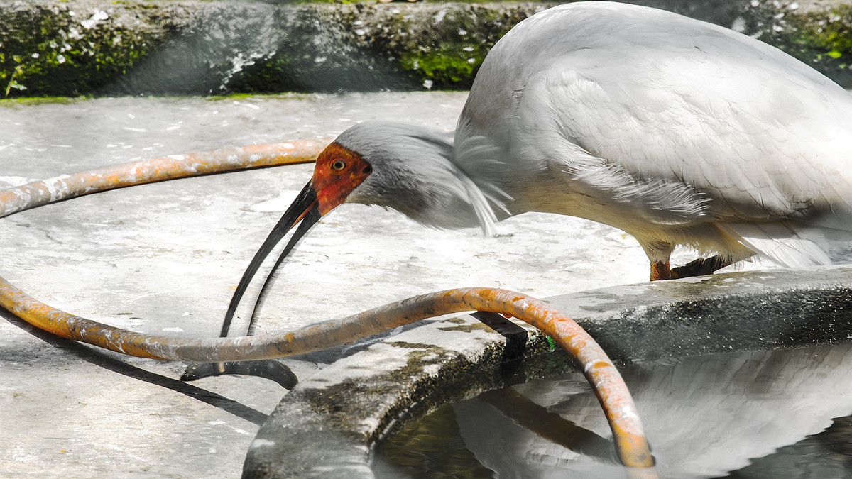 寻找尼康镜头中最美湿地·
