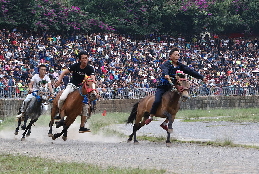 大凉山彝族火把节赛马