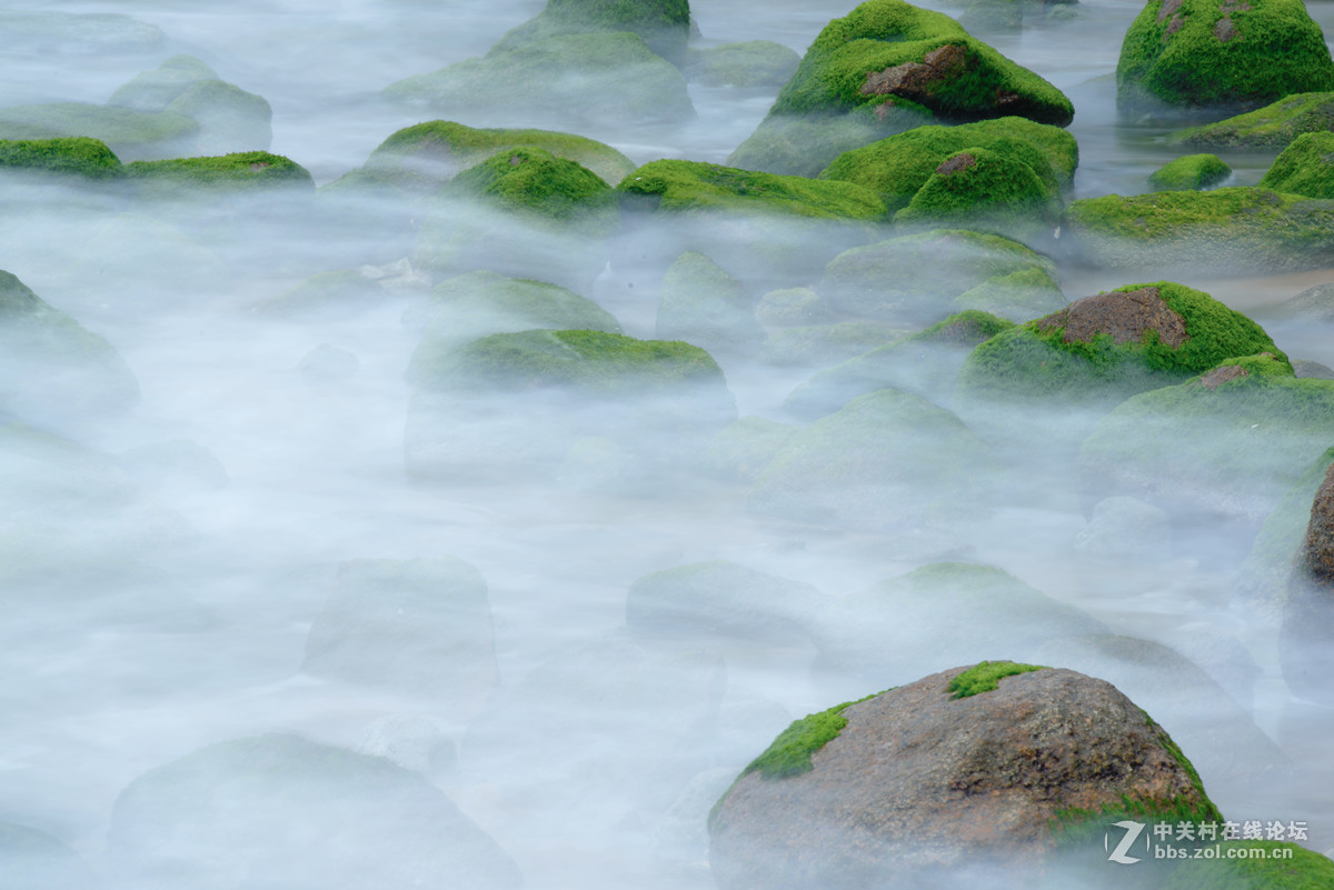 海礁上的青苔