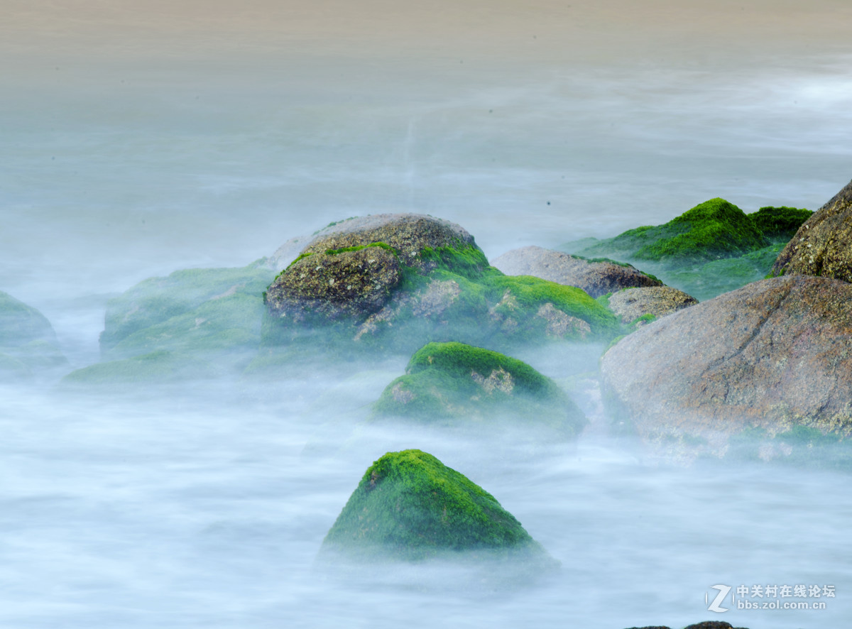 海礁上的青苔