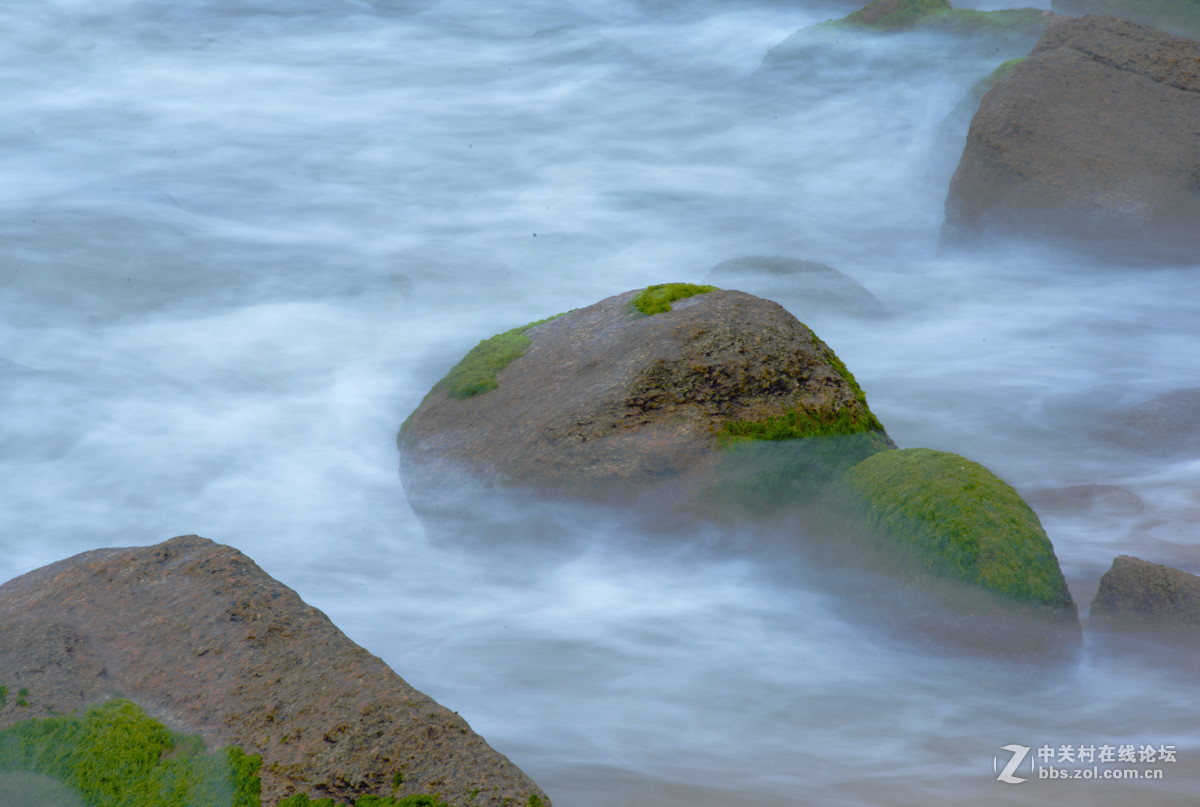 海礁上的青苔