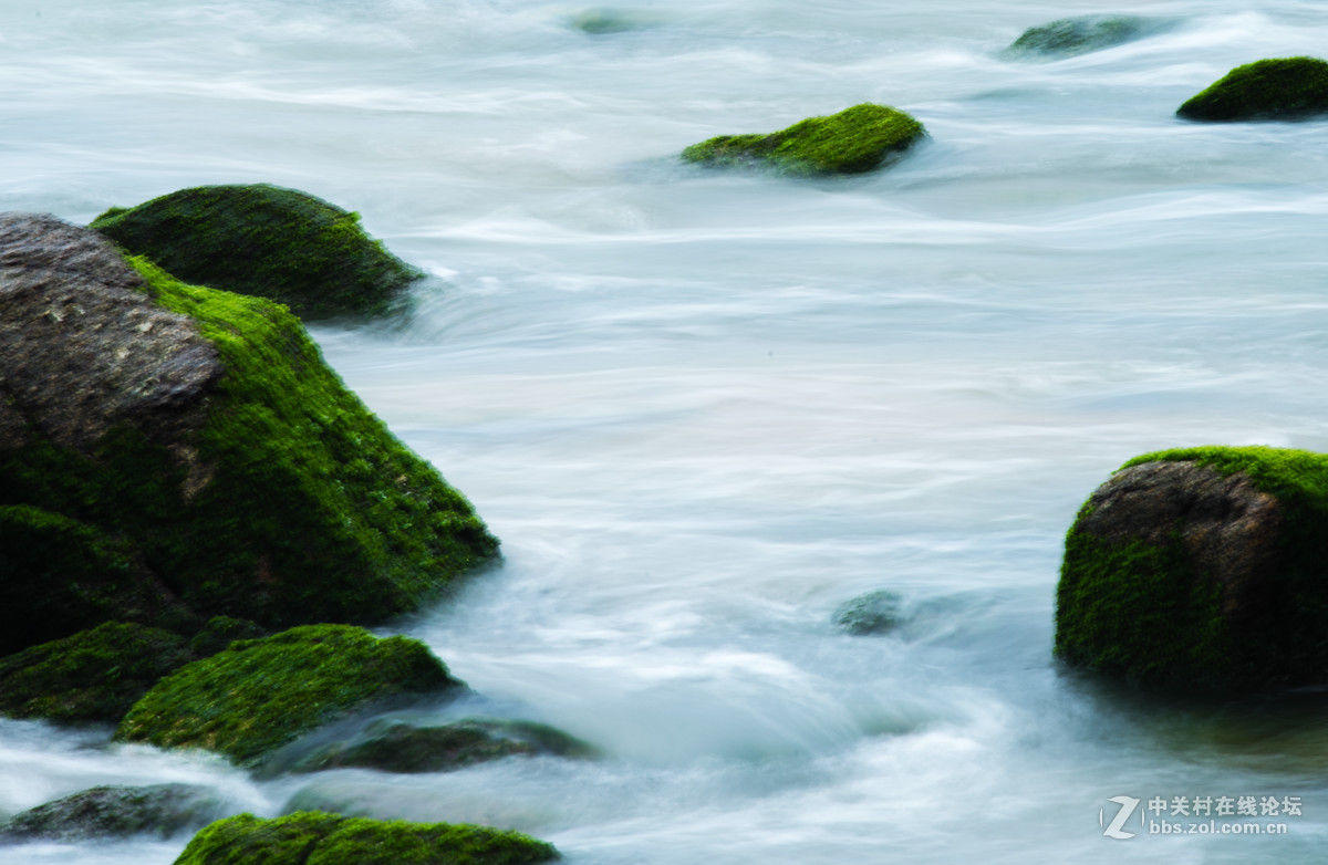 海礁上的青苔