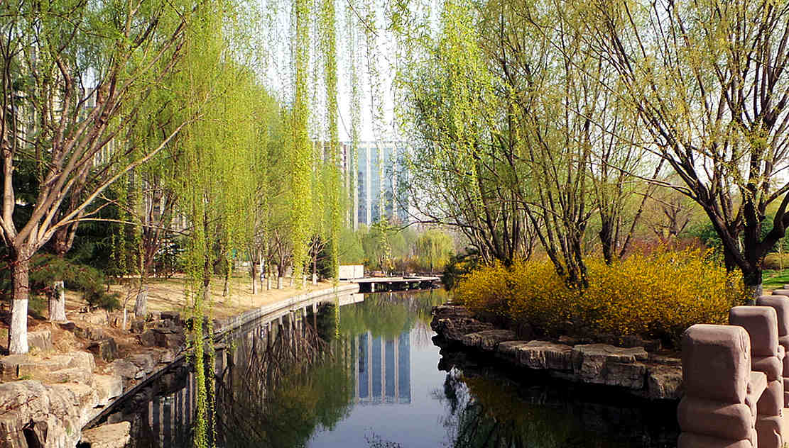 美景
