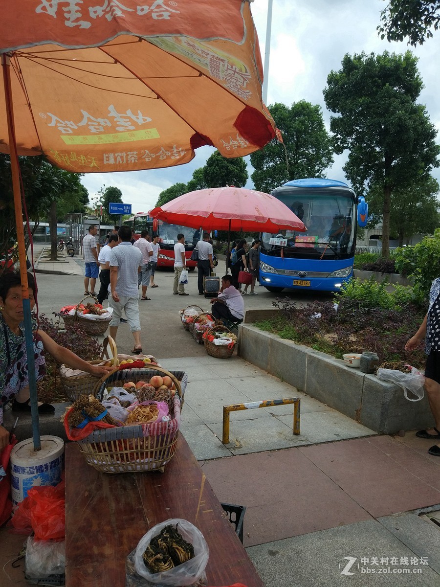 南岳衡山四座主庙烧香拜佛许愿必灵验流程规矩注意事项讲究指南