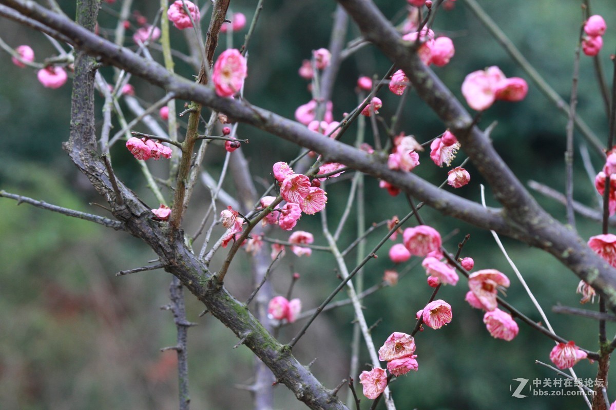 气死小小白的锐度，阴天