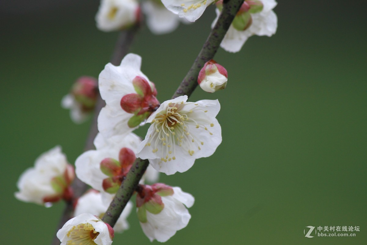 气死小小白的锐度，阴天