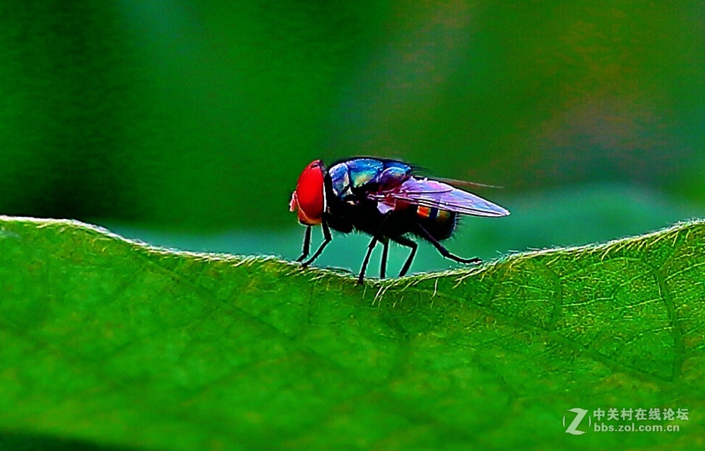 《阴天院内所拍》
