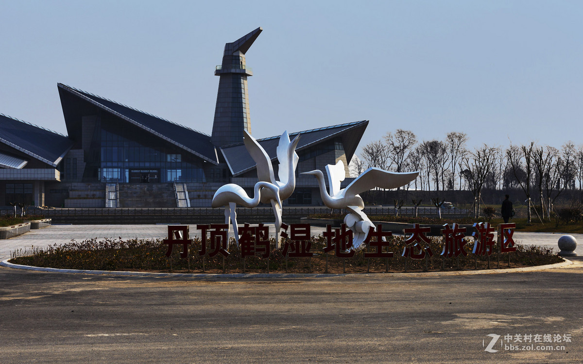 丹顶鹤湿地生态旅游区
