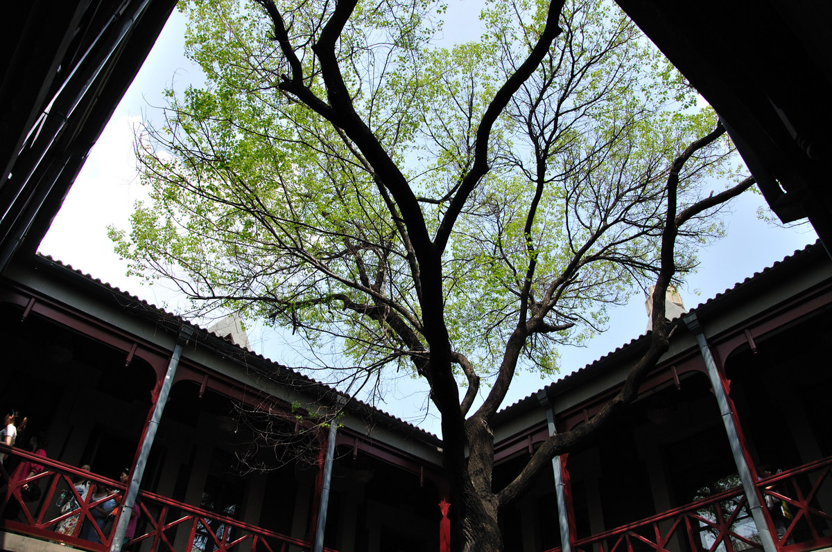 伪满皇宫（三）